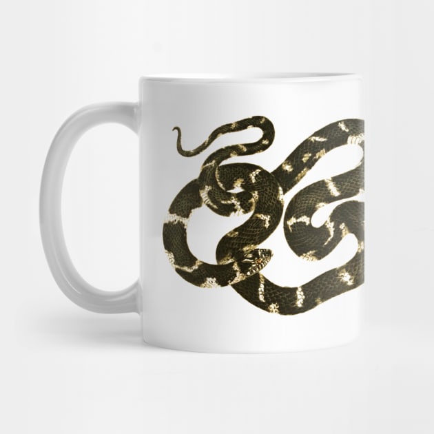 serpent,cobra,reptile,viper,venom,lizard,rattlesnake,king cobra by vabontchi